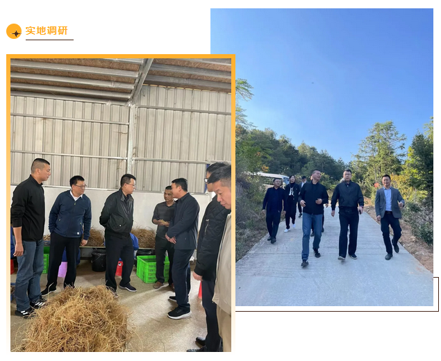 澳门铁盘算盘490777