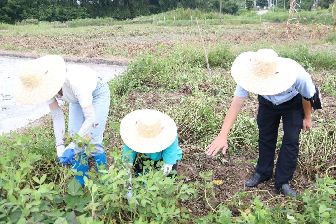 澳门铁盘算盘490777