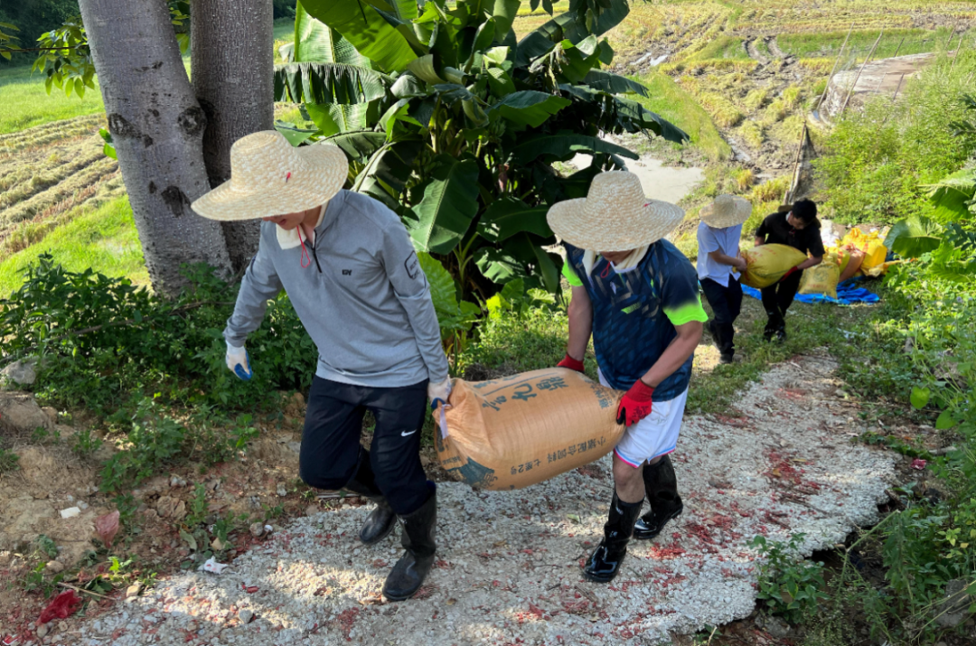 澳门铁盘算盘490777