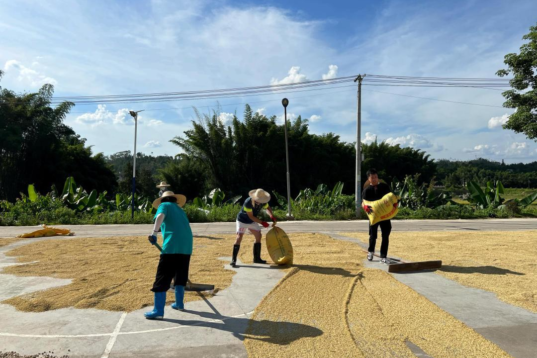 澳门铁盘算盘490777