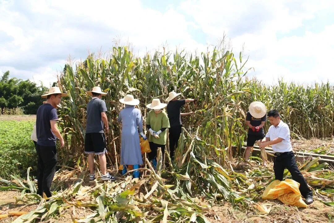 澳门铁盘算盘490777