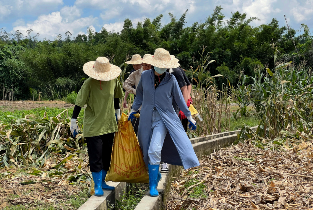 澳门铁盘算盘490777