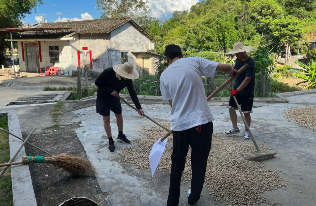 澳门铁盘算盘490777