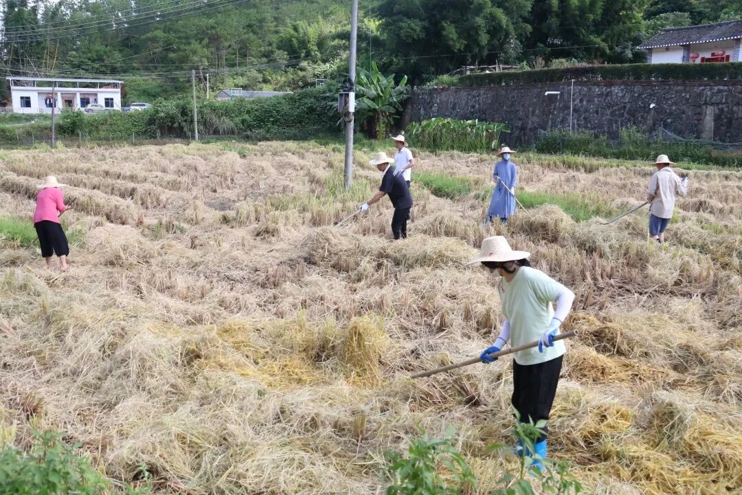 澳门铁盘算盘490777