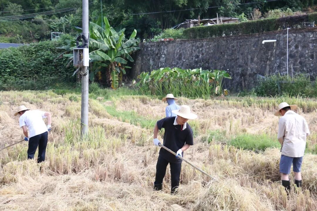 澳门铁盘算盘490777