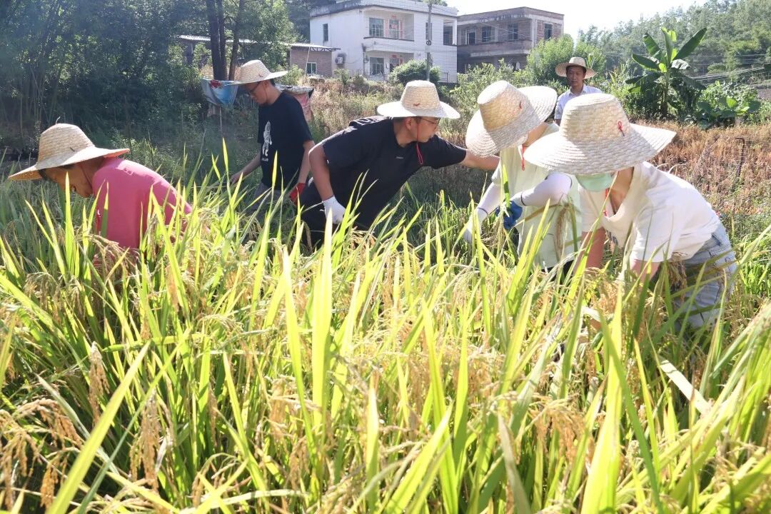 澳门铁盘算盘490777