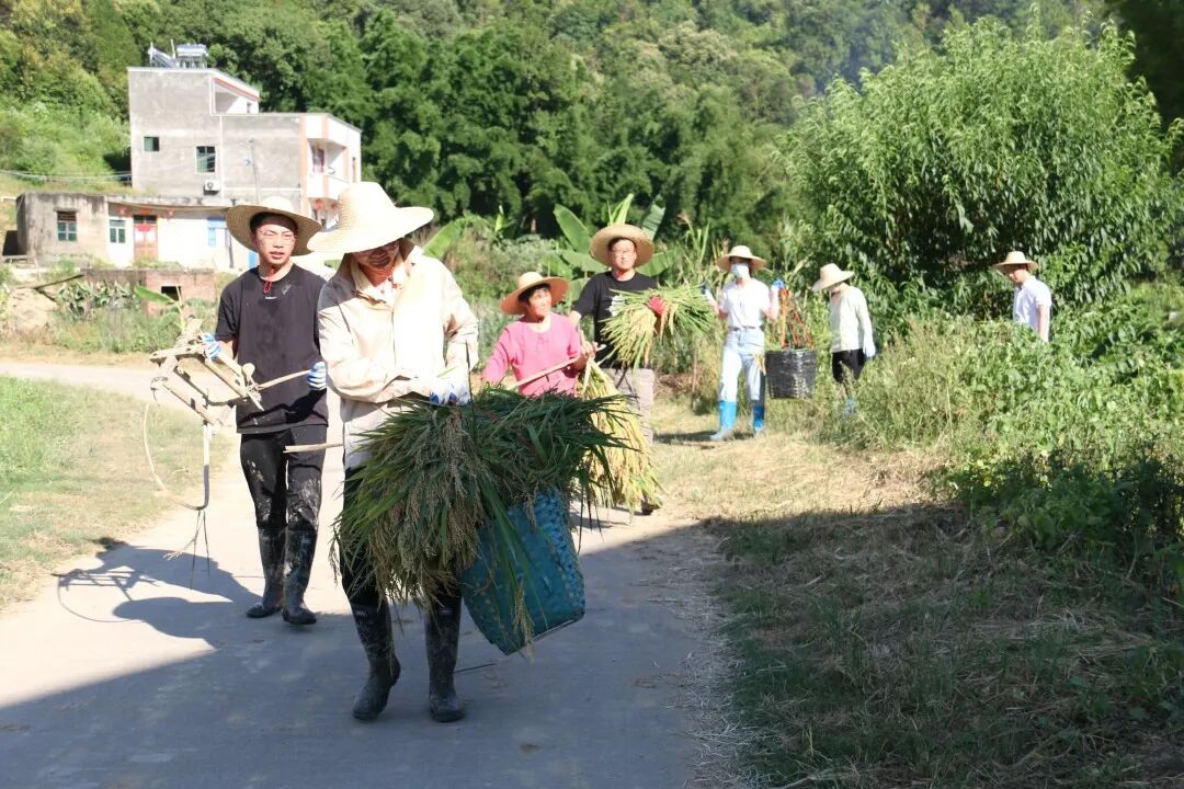 澳门铁盘算盘490777