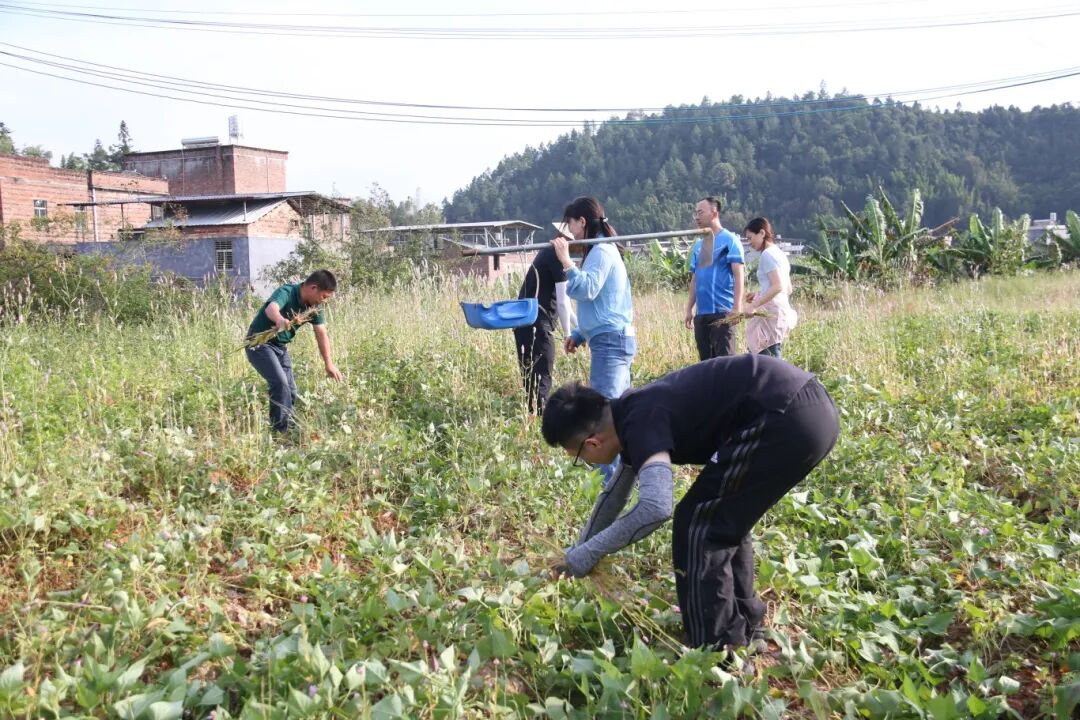 澳门铁盘算盘490777