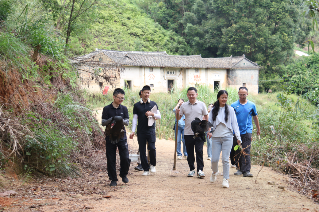 澳门铁盘算盘490777