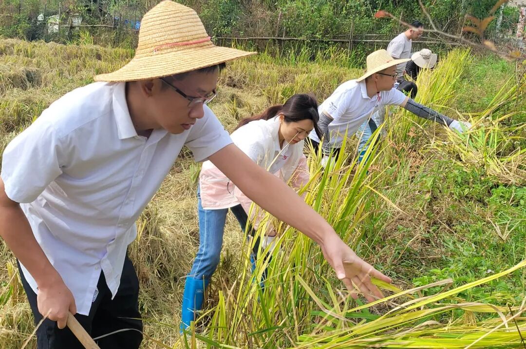 澳门铁盘算盘490777