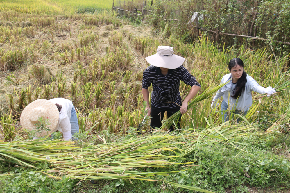 澳门铁盘算盘490777