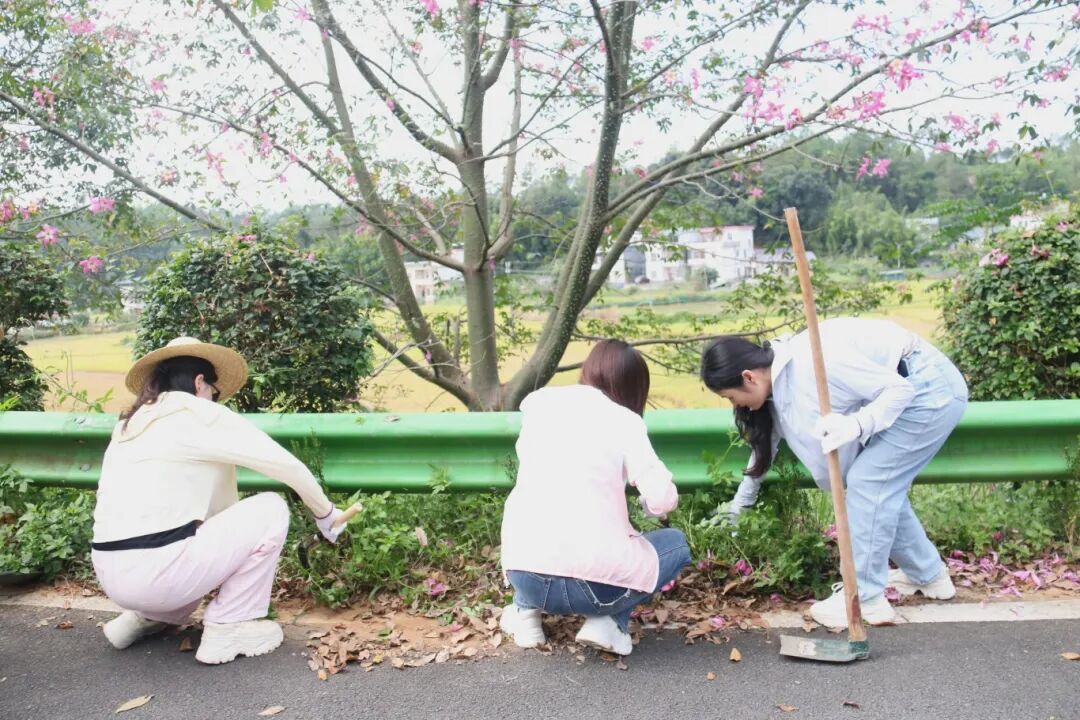 澳门铁盘算盘490777