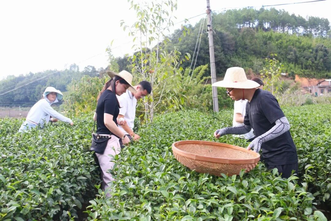 澳门铁盘算盘490777