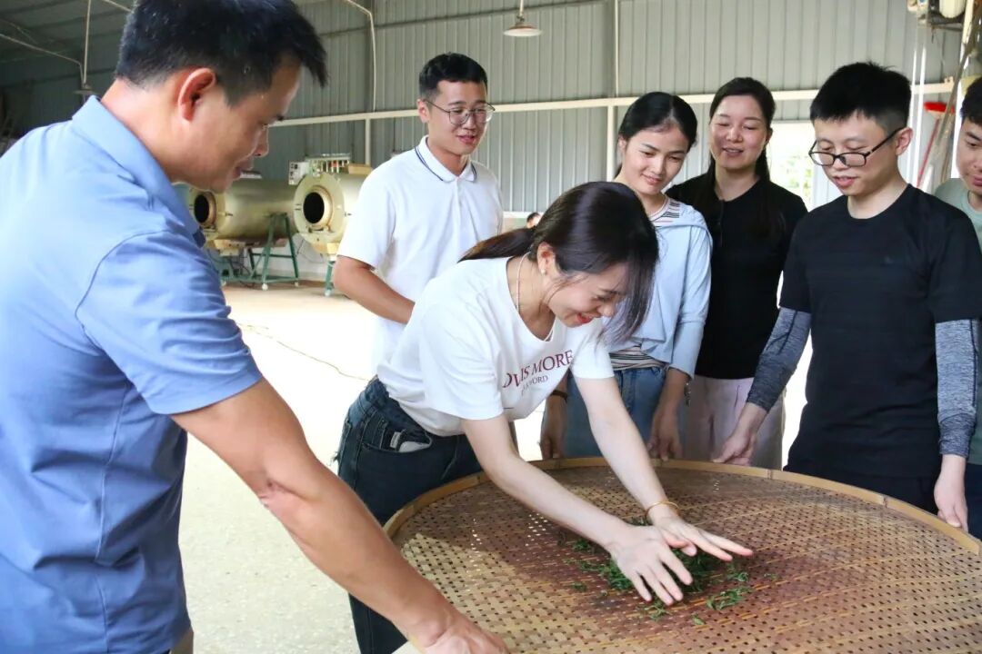 澳门铁盘算盘490777