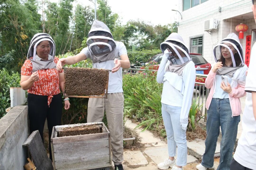 澳门铁盘算盘490777