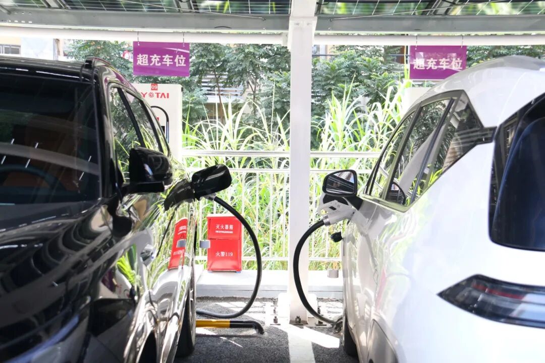 澳门铁盘算盘490777