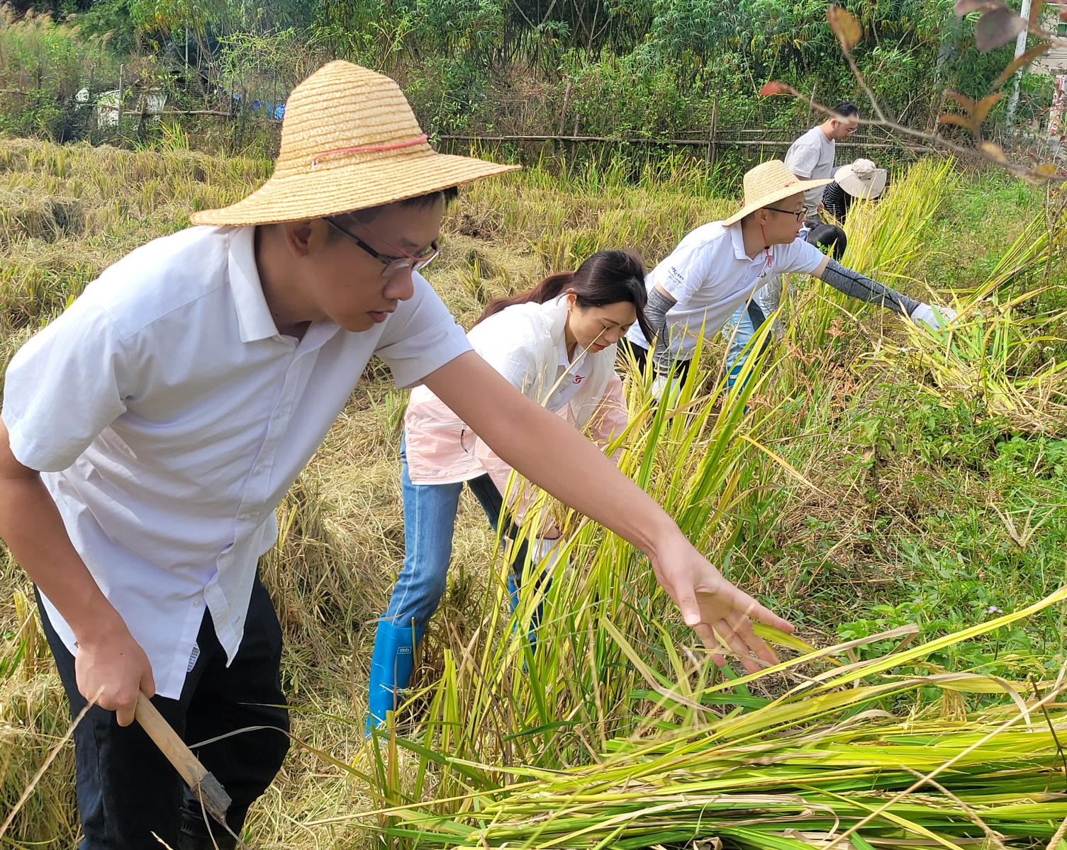 澳门铁盘算盘490777