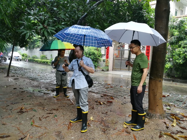 澳门铁盘算盘490777