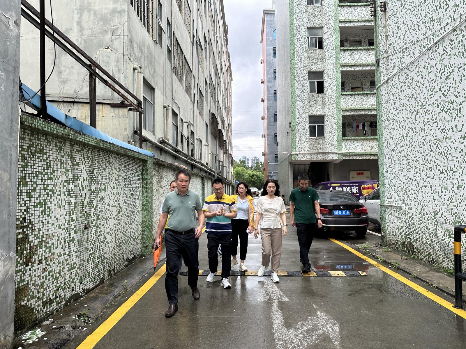 澳门铁盘算盘490777