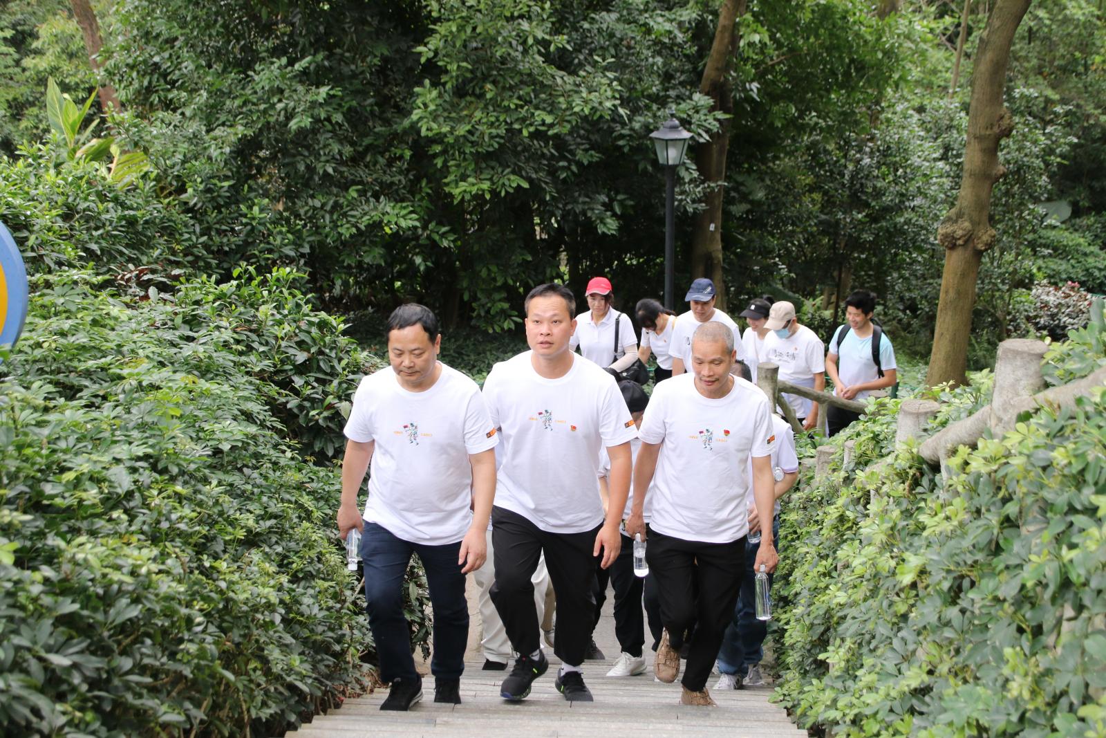 澳门铁盘算盘490777