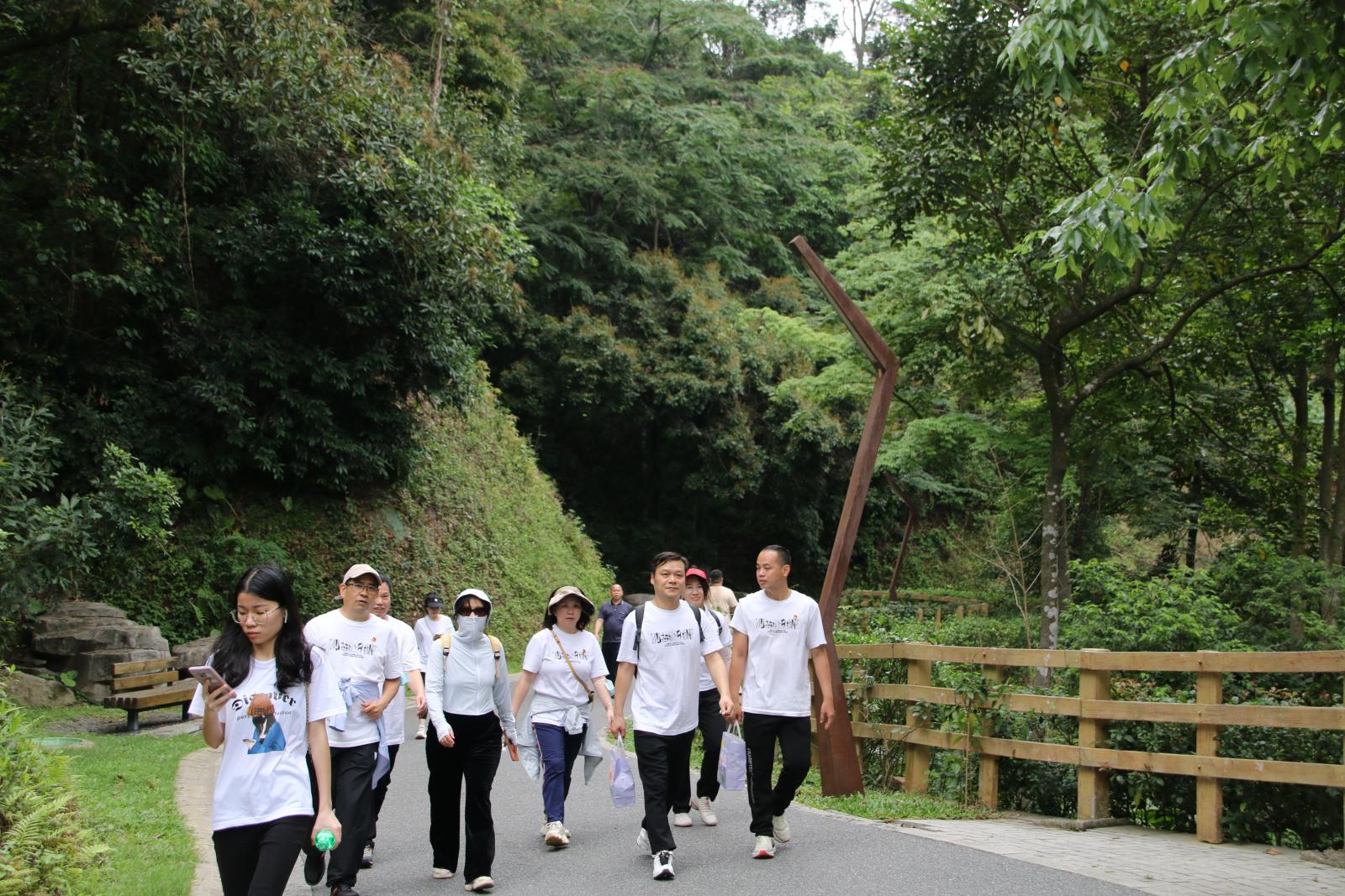 澳门铁盘算盘490777