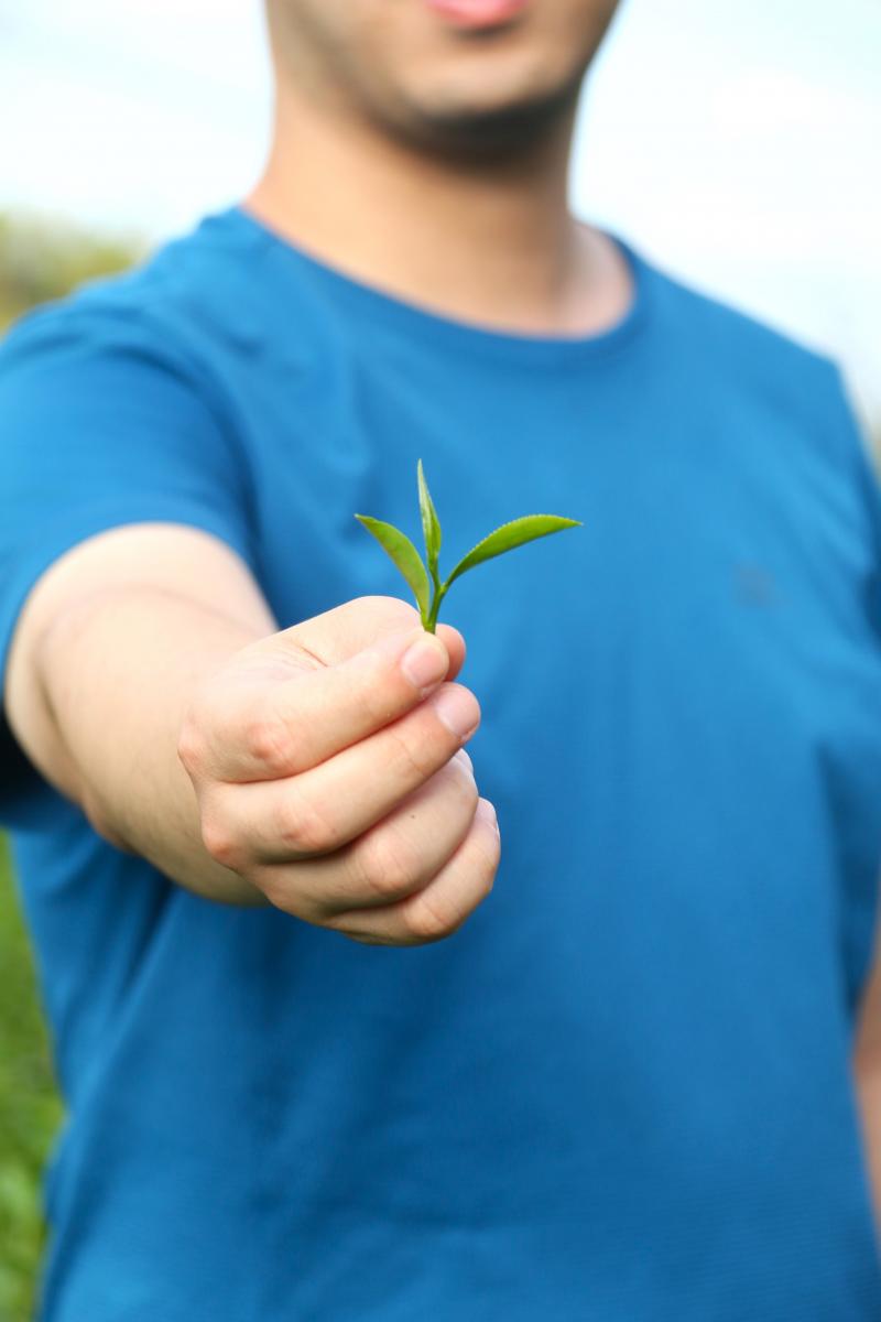 澳门铁盘算盘490777
