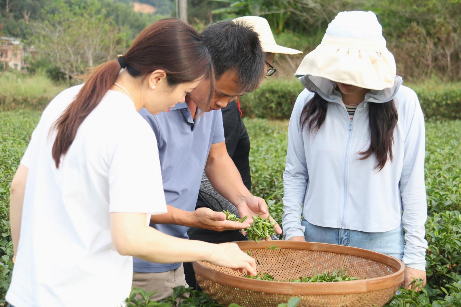 澳门铁盘算盘490777