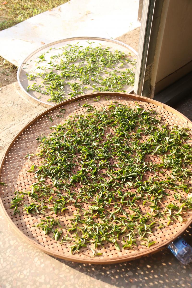 澳门铁盘算盘490777