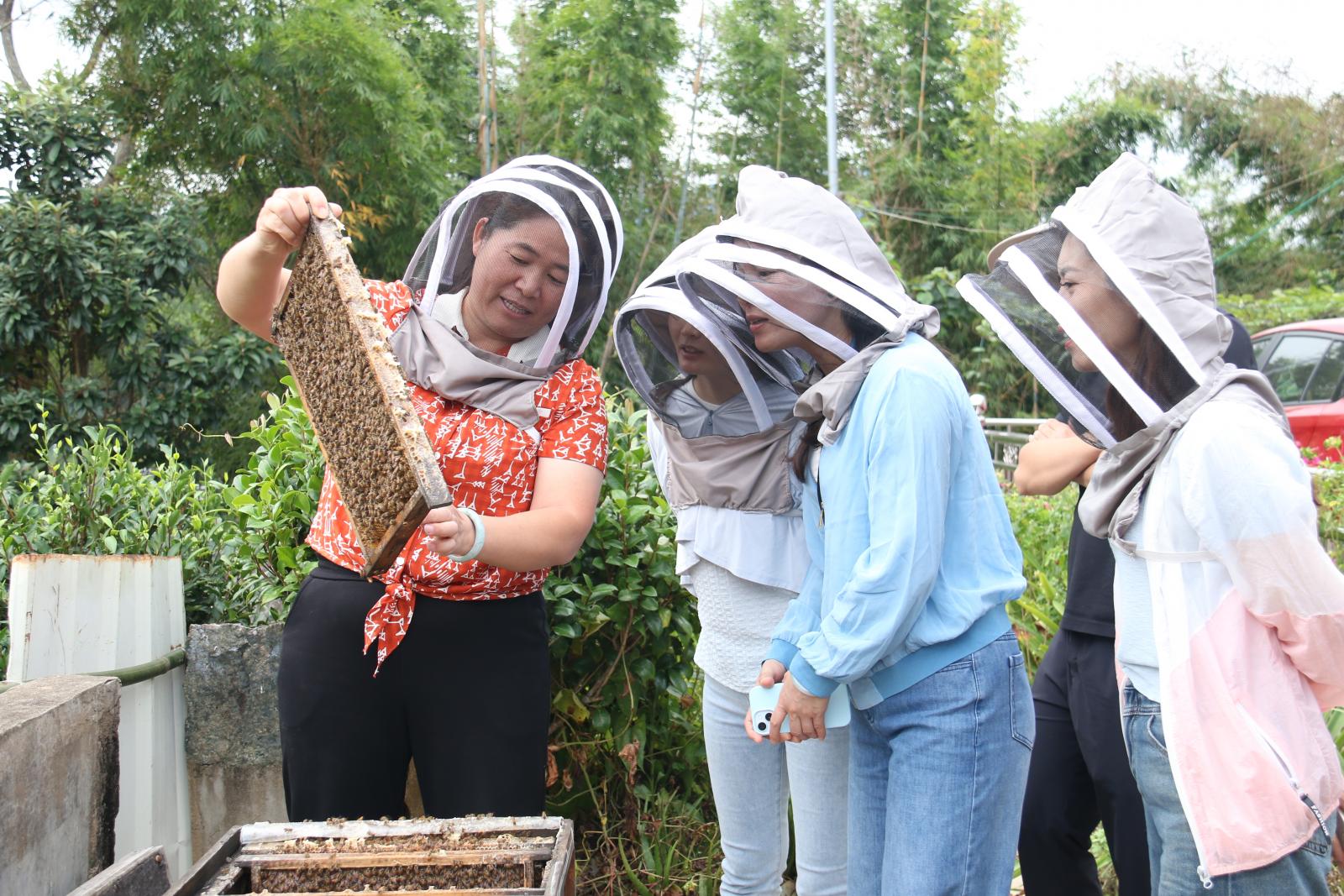 澳门铁盘算盘490777