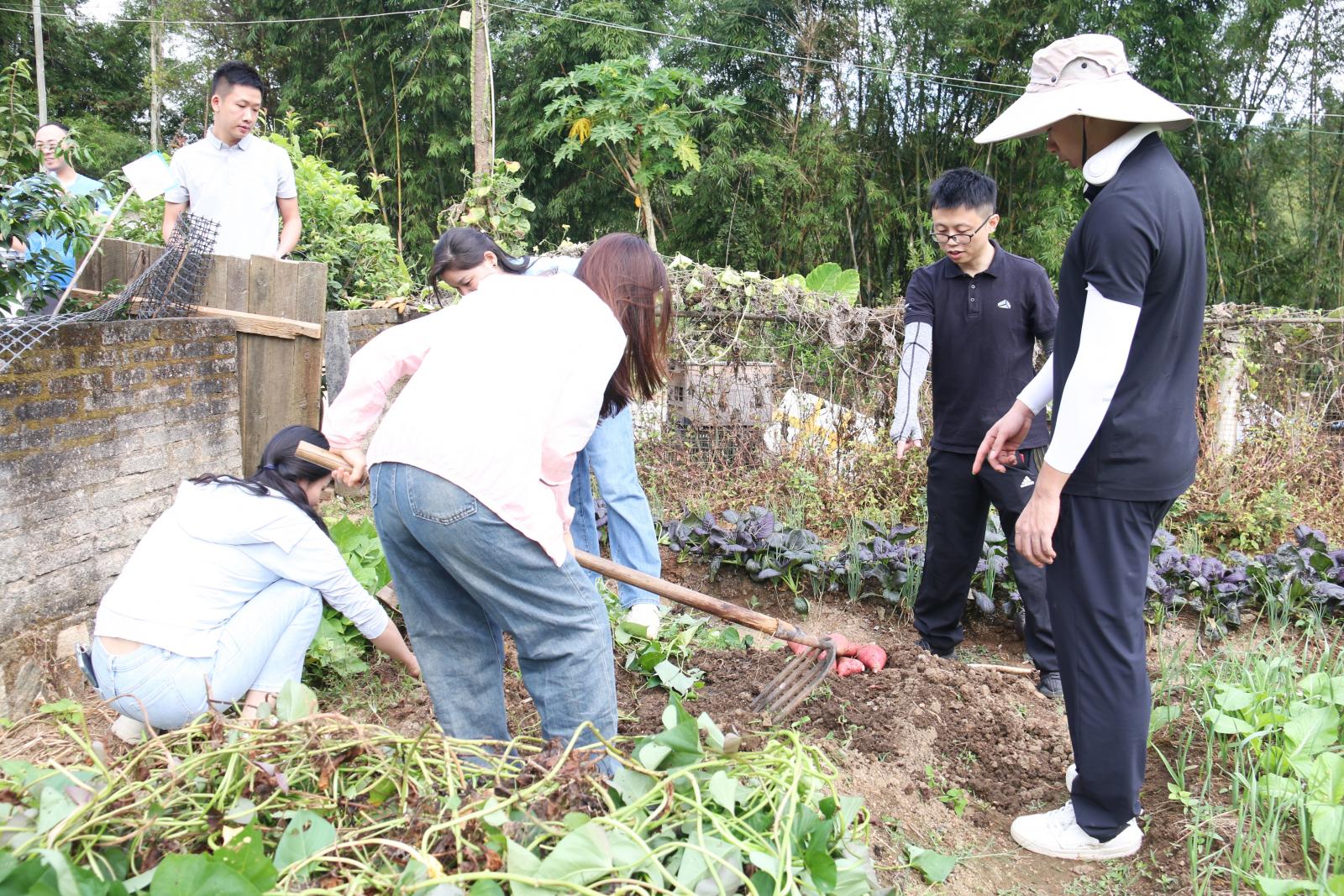 澳门铁盘算盘490777