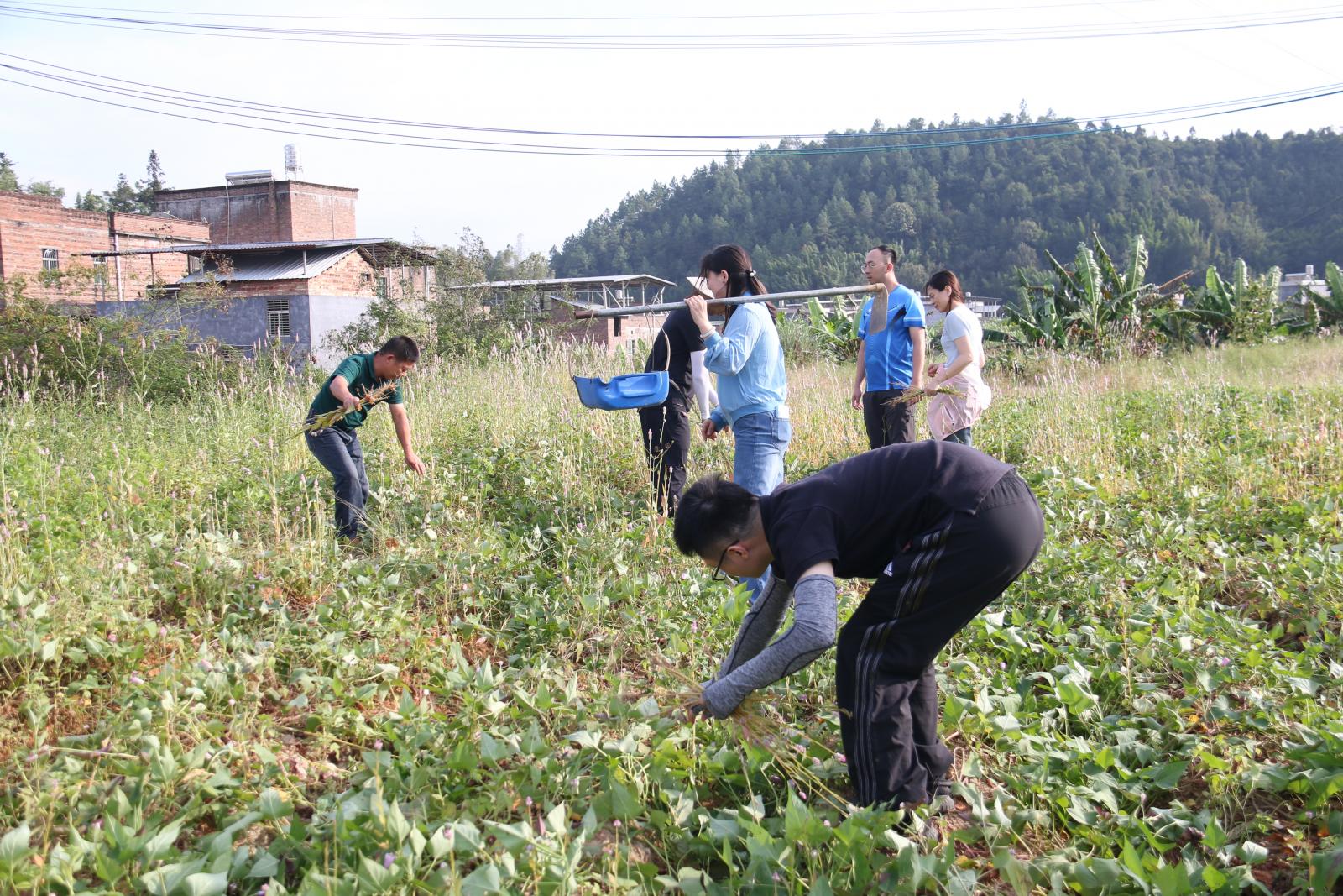 澳门铁盘算盘490777