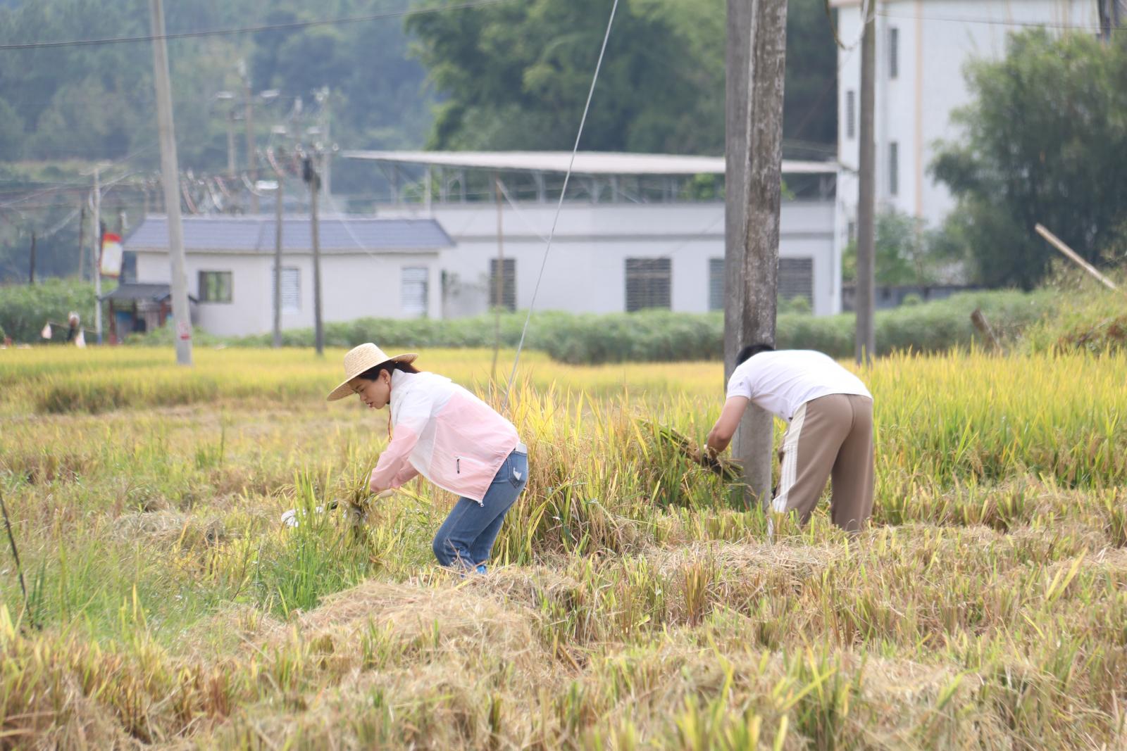 澳门铁盘算盘490777