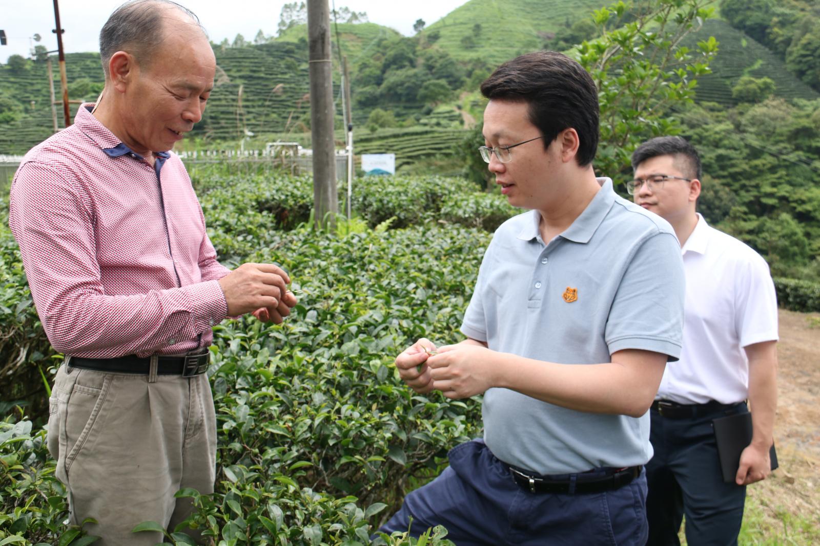 澳门铁盘算盘490777