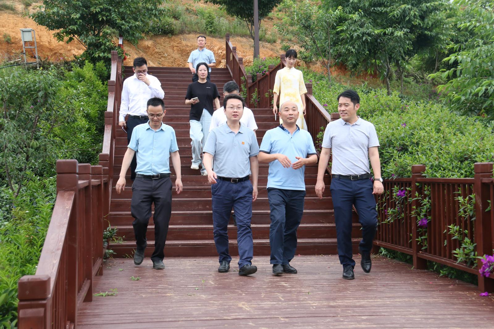 澳门铁盘算盘490777