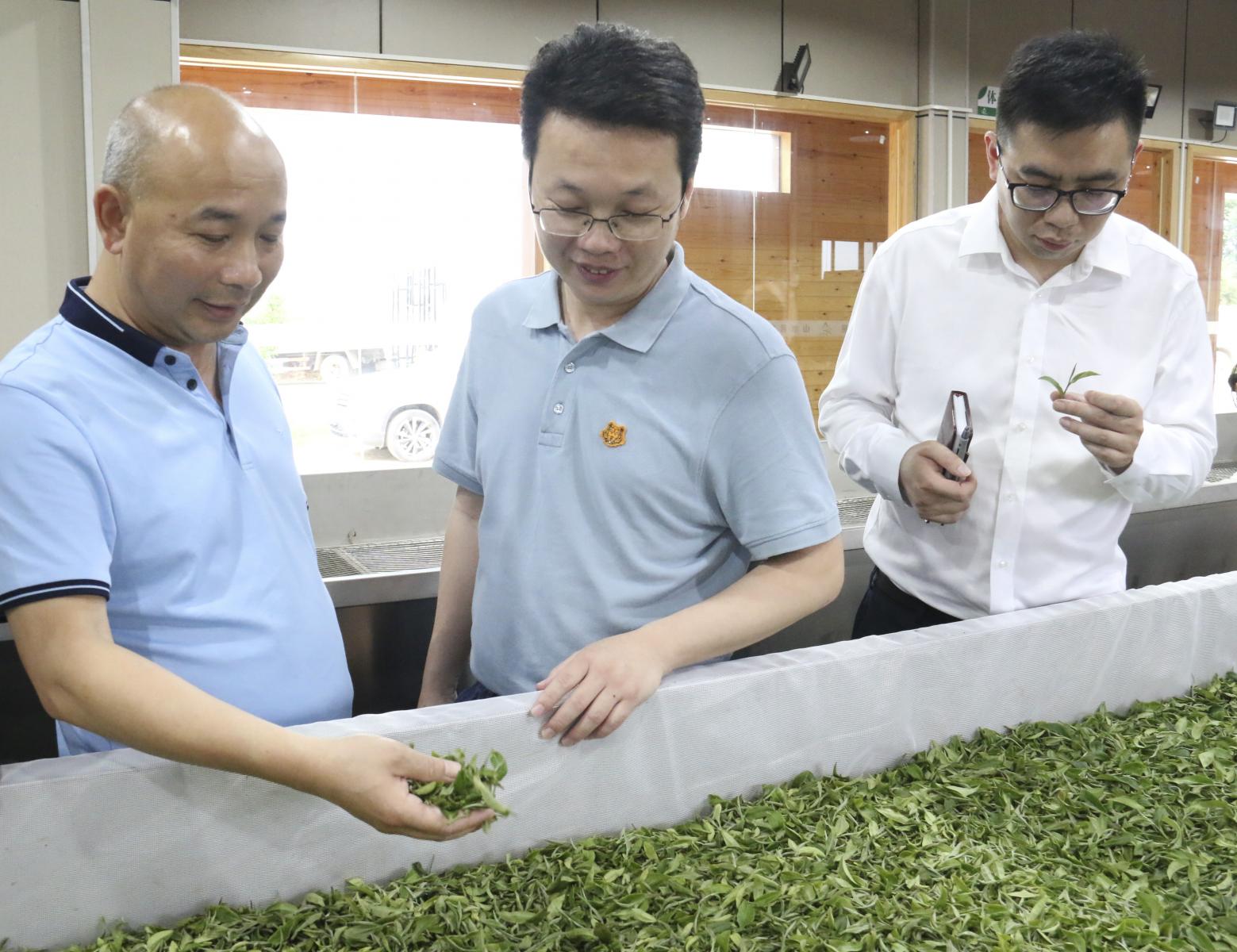 澳门铁盘算盘490777