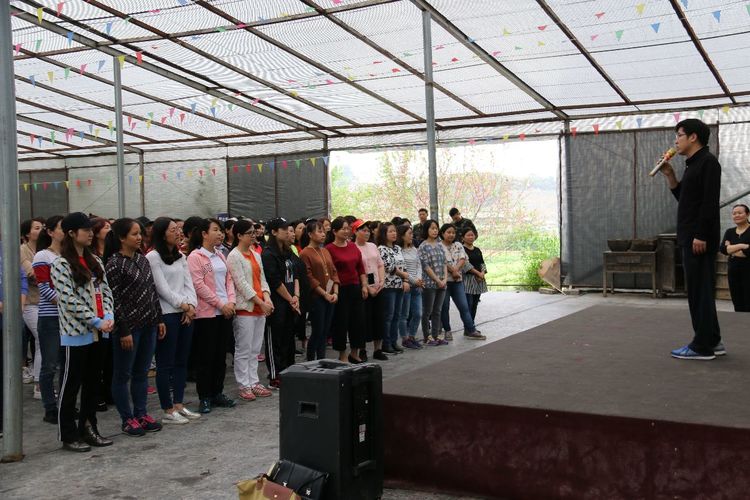 澳门铁盘算盘490777