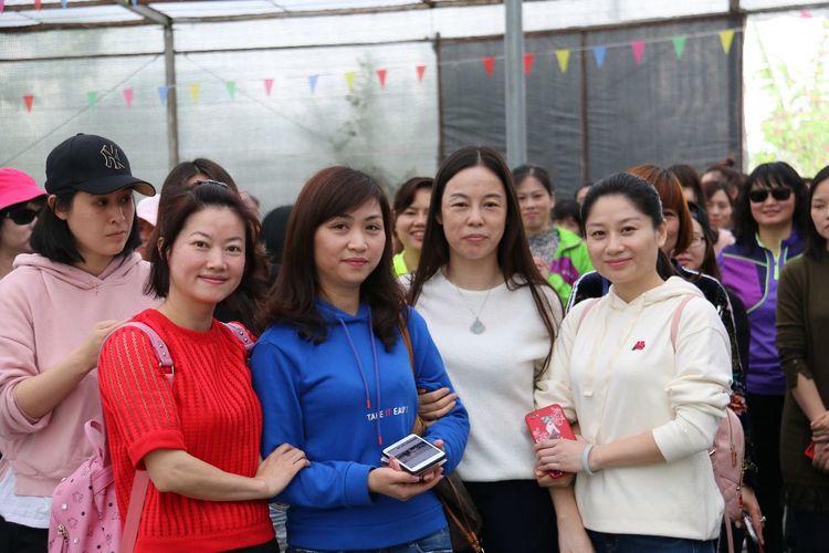 澳门铁盘算盘490777