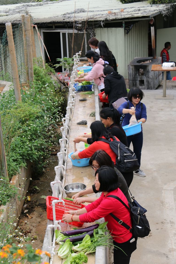 澳门铁盘算盘490777