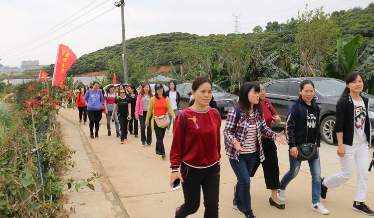 澳门铁盘算盘490777