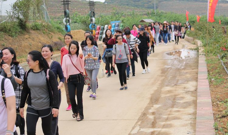 澳门铁盘算盘490777