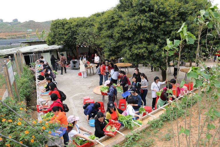 澳门铁盘算盘490777