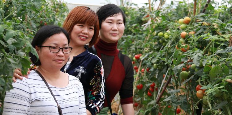 澳门铁盘算盘490777