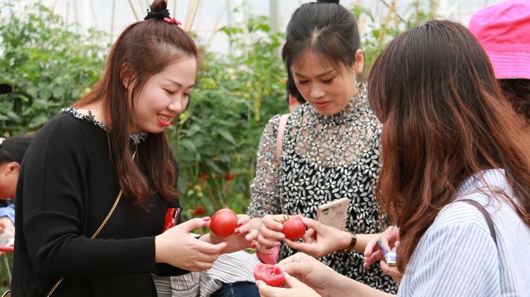 澳门铁盘算盘490777