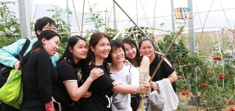 澳门铁盘算盘490777