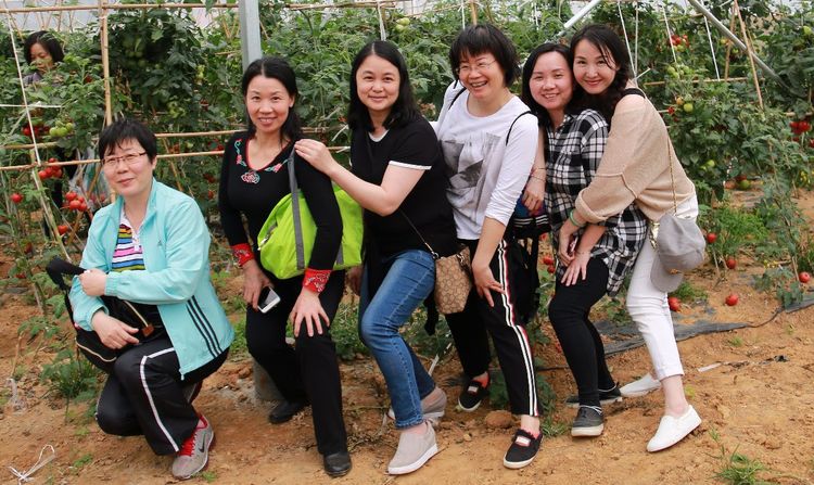 澳门铁盘算盘490777