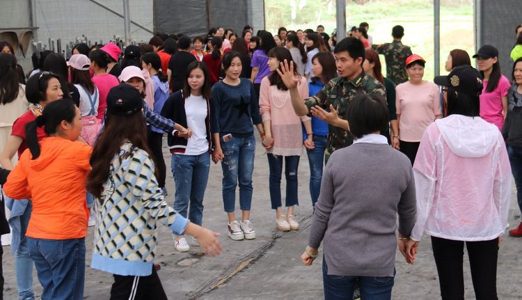 澳门铁盘算盘490777