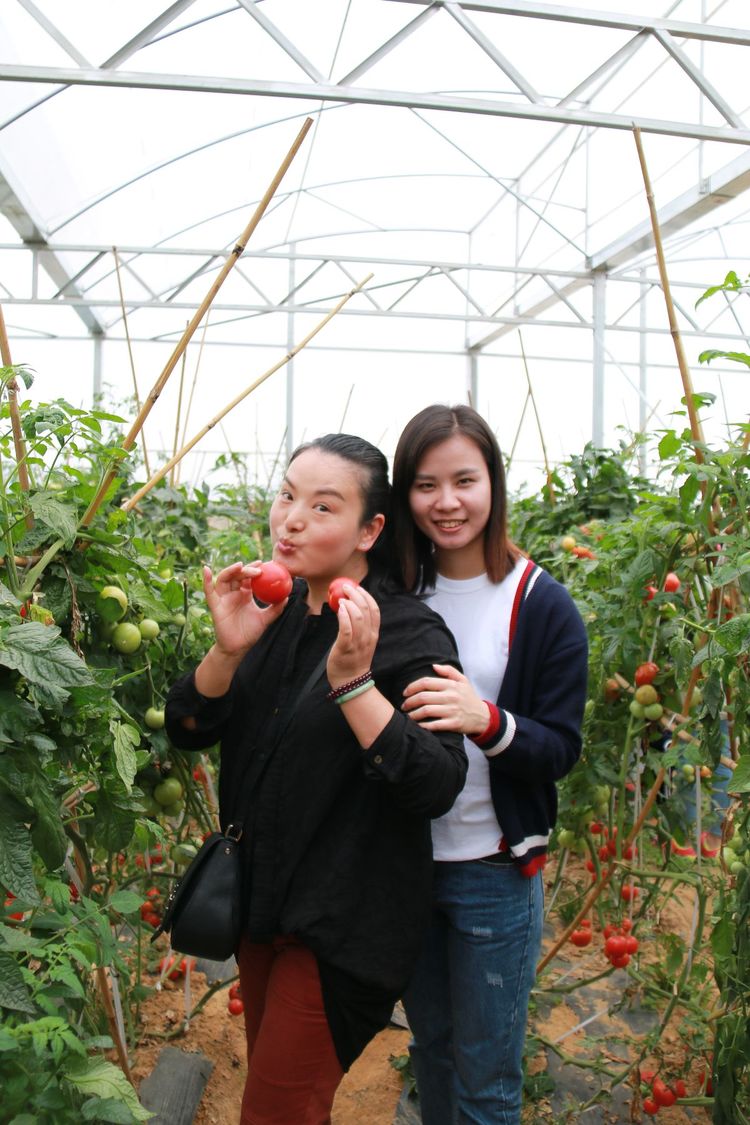 澳门铁盘算盘490777