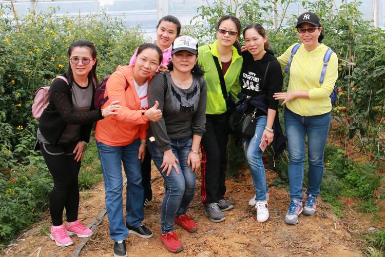 澳门铁盘算盘490777