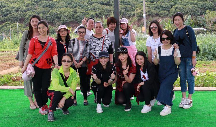 澳门铁盘算盘490777