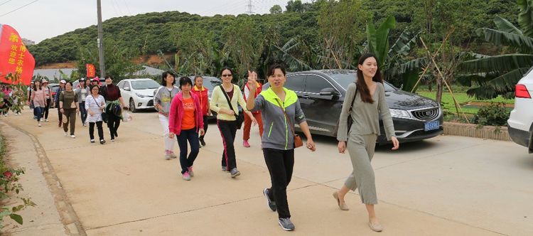 澳门铁盘算盘490777